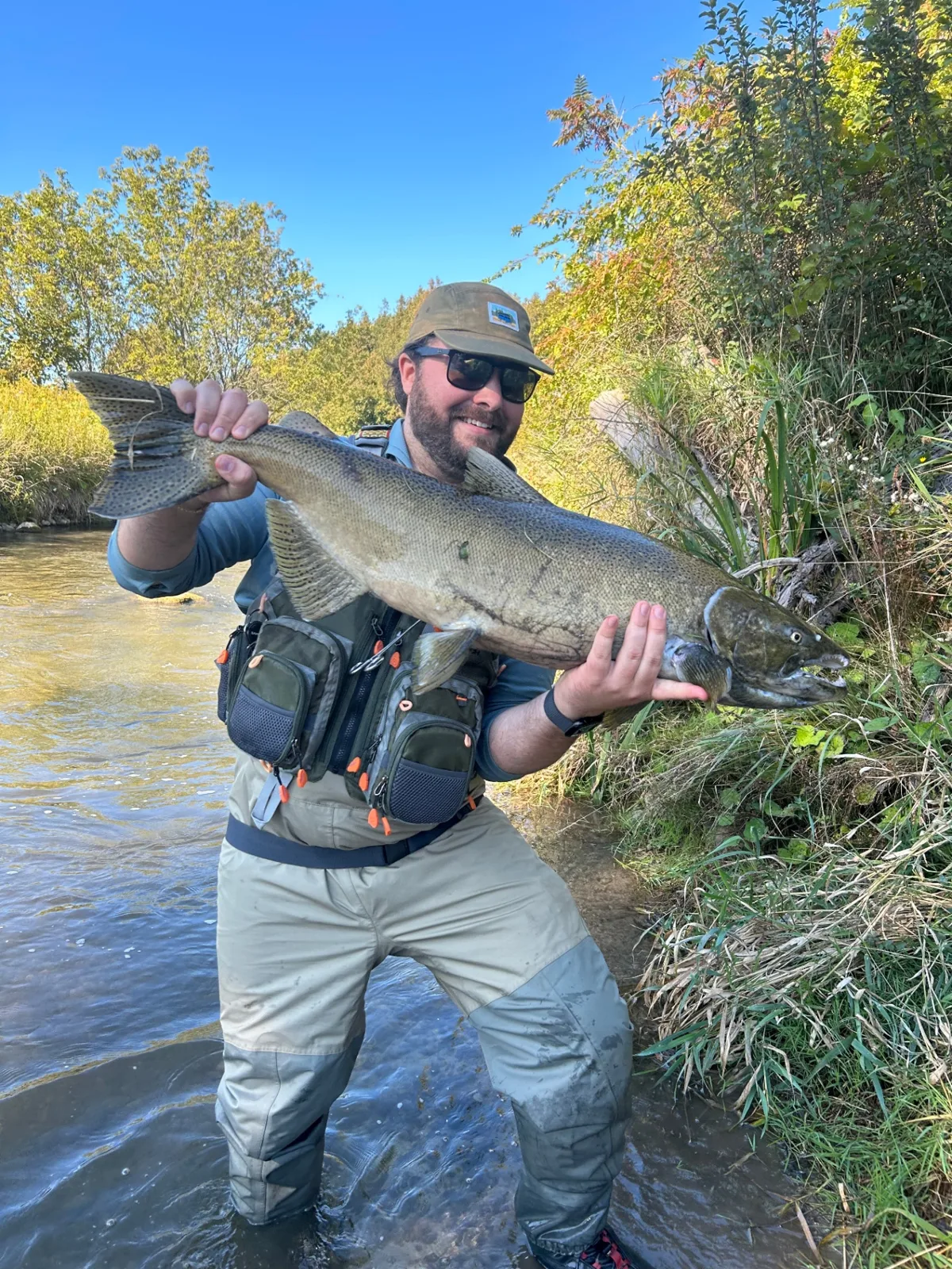 Pêcheur en waders tenant un gros Chinook dans une petite rivière bordée de végétation d’automne
