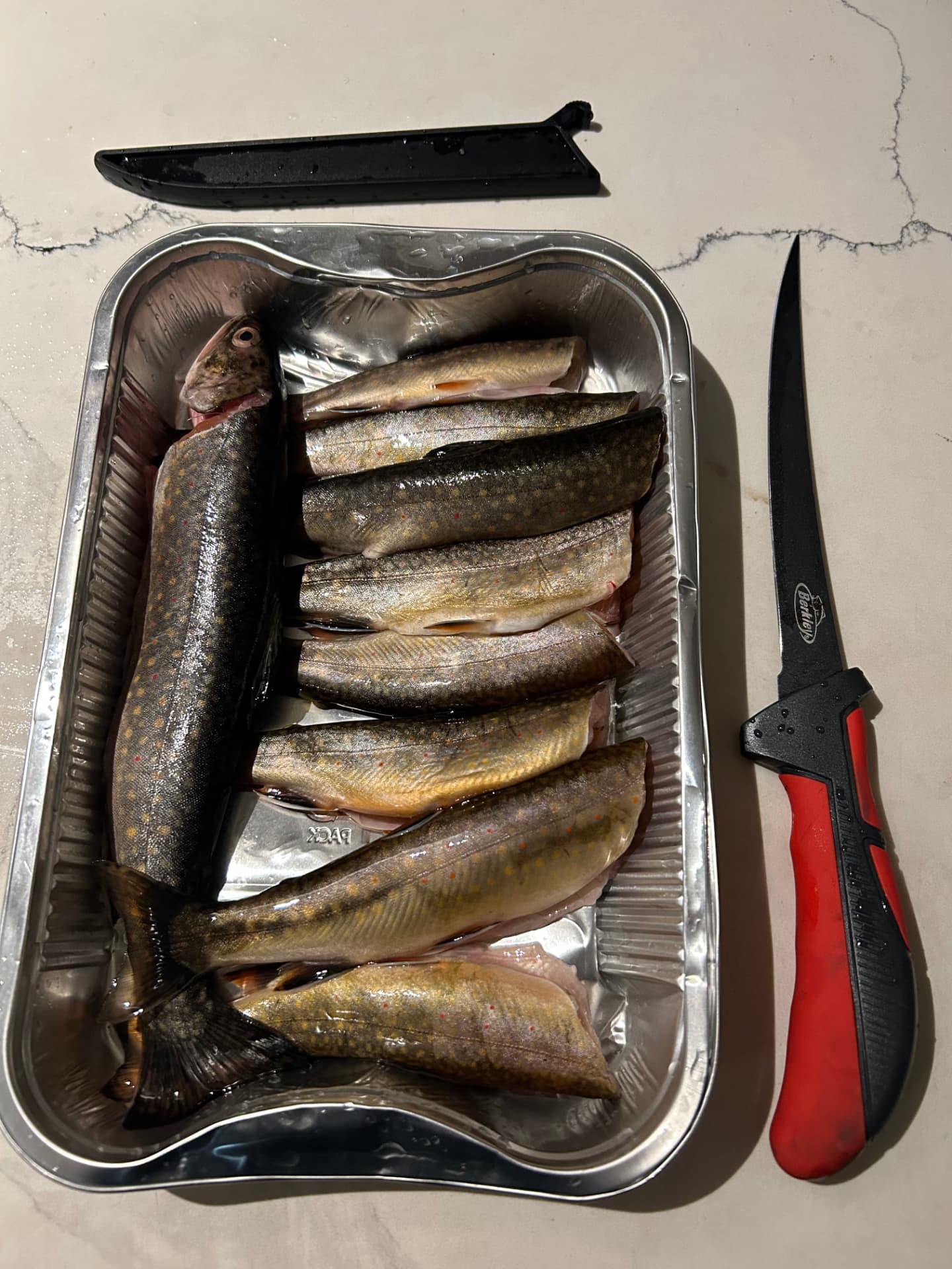 Plateau de truites mouchetées pêchées dans un ruisseau des Laurentides à côté d'un couteau à filet