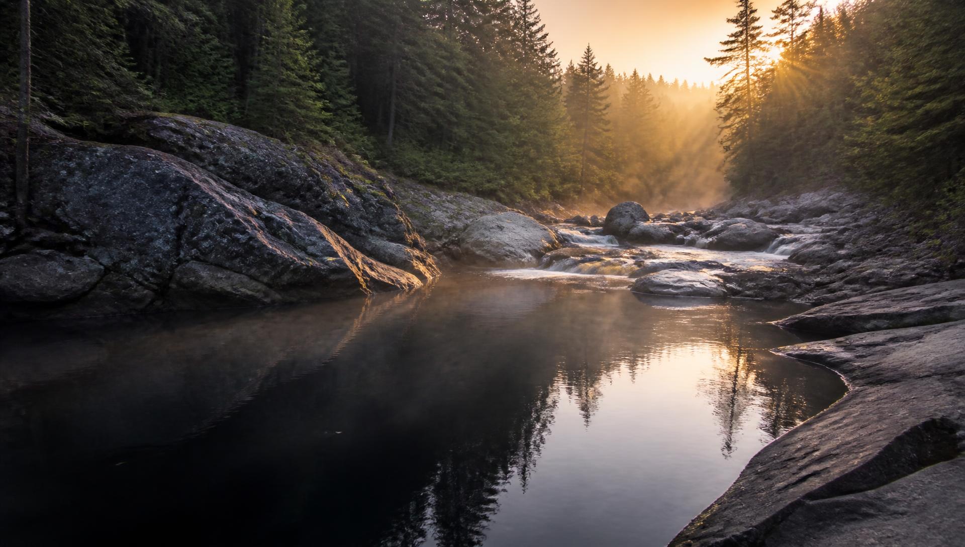 Fosse profonde d'une rivière forestière des Laurentides à la lumière du matin